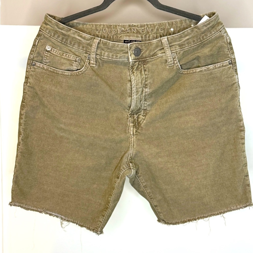 American Eagle Outfitters Men's Tan Corduroy Shorts